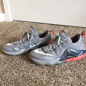 Lebron James Nike Zoom